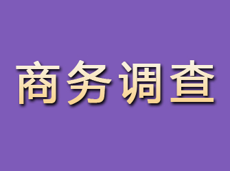 邛崃商务调查